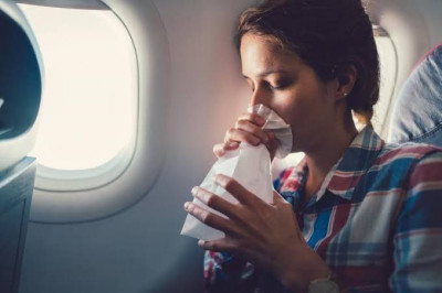 5 Makanan Pencegah Mabuk Perjalanan